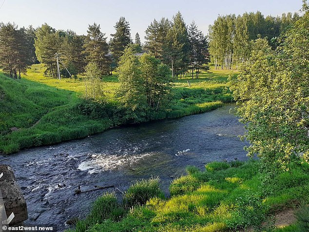 En la imagen: el río Oredezh cuando no está congelado.  El Sr. Zuyev dijo que incluso en verano, la gente a menudo se ahogaba en el río de corriente rápida.