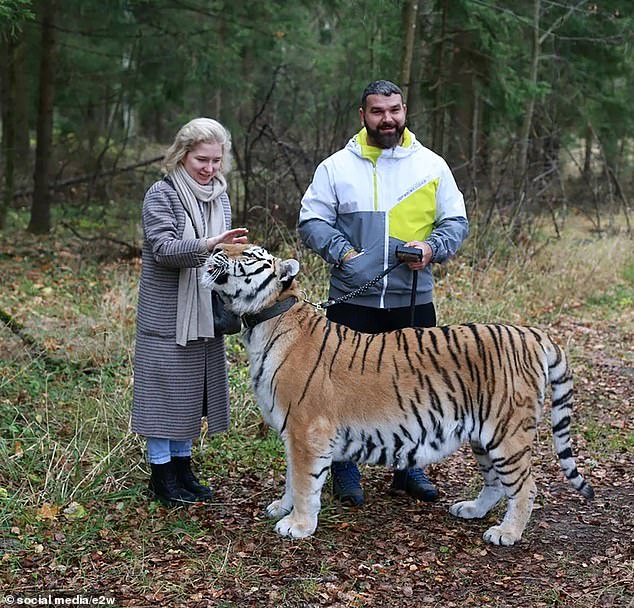 En la imagen: se muestra a Zoya Kaygorodova (izquierda) acariciando a un tigre.  ella murio en el accidente