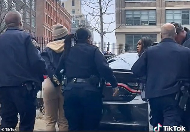 Los tres residentes de Newark, Nueva Jersey, en la foto de arriba, fueron acusados ​​de hurto mayor, peligro imprudente, huir de un oficial y resistirse al arresto.