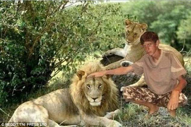 Este niño no convencerá a nadie de que realmente acarició a un león con este terrible ejemplo de magia con Photoshop