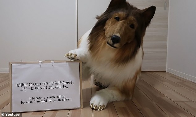 Debutando su disfraz en YouTube, Toco comparte su viaje único viviendo como un perro con más de 1000 suscriptores.  Desde que abrió su canal de YouTube en abril, sus videos tienen más de cuatro millones de visitas.
