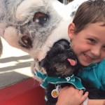 niño-con-cachorro-Maddies-Fondo-Adopción-Día-enviado-750px