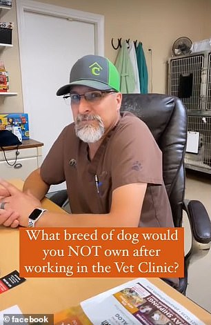 Alta Vista Animal Hospital en Texas compartió un video en Instagram bajo el nombre de usuario @avahvet y preguntó al personal qué tipo de perro no les importaría tener.