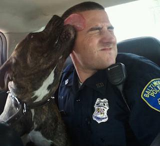 Oficial de policía lamiendo perro - foto de familia