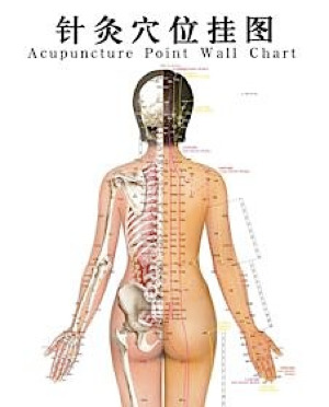 tabla-de-puntos-de-acupuntura.jpg