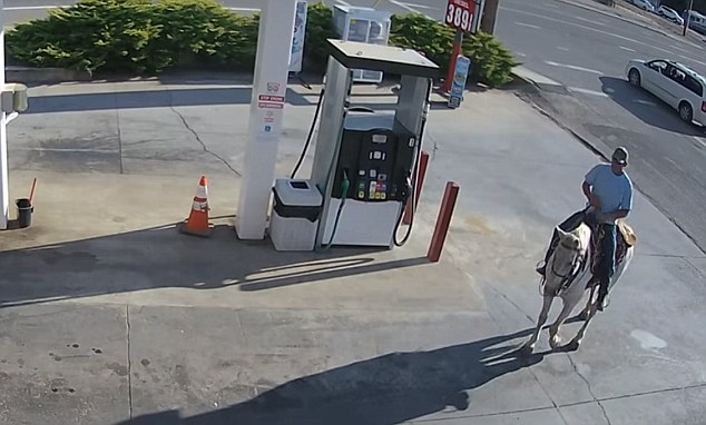 Un hombre de California, identificado solo como Steve, fue captado en video al caer de su caballo.  Steve supuestamente estaba borracho cuando fue a una gasolinera en Quincy, California, el 19 de agosto. 